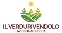 Il Verdurivendolo